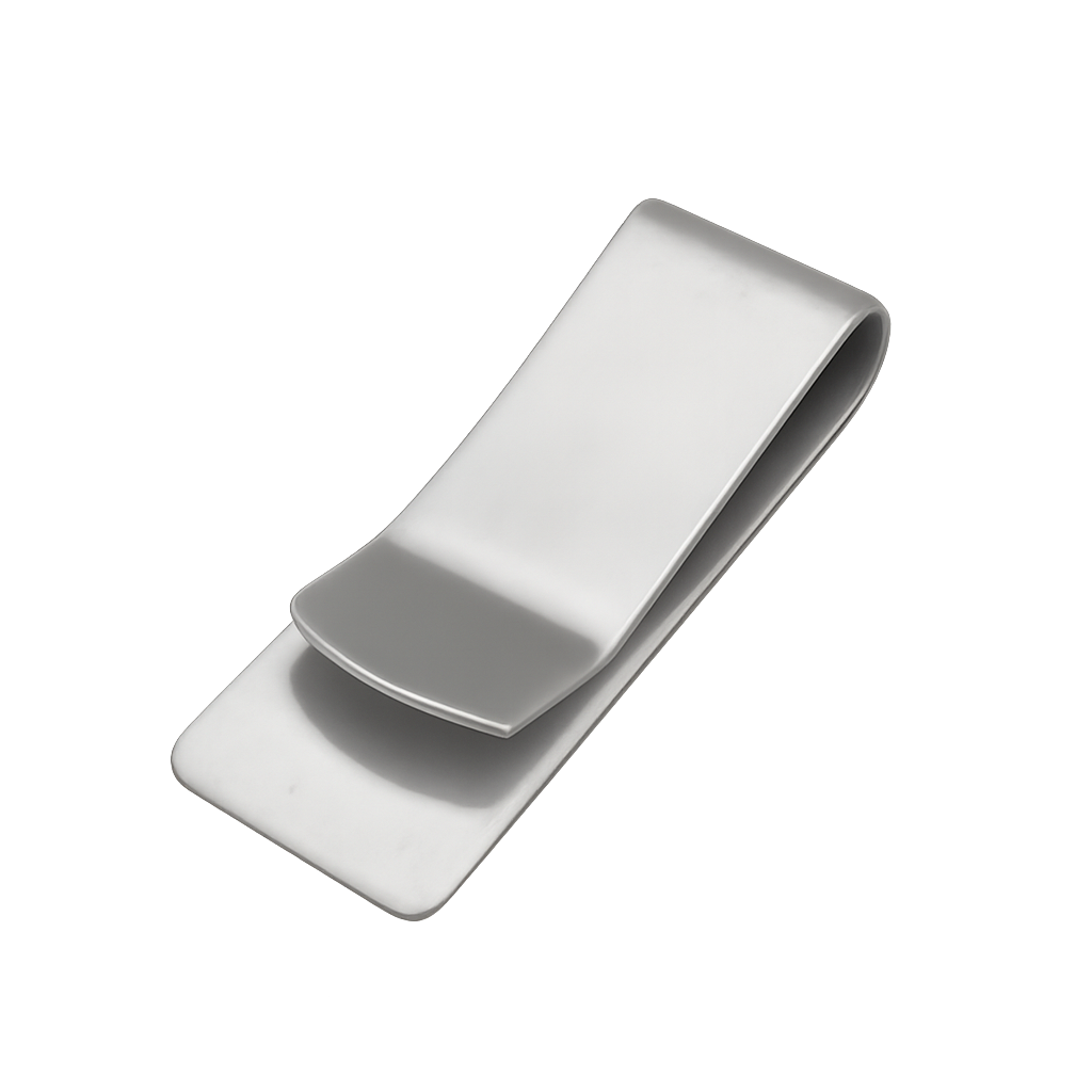 Wide Belt Clip